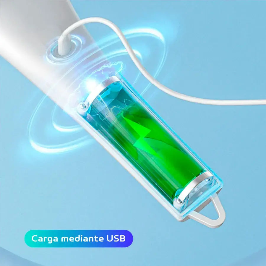 Cepillo de limpieza eléctrico + 4 cabezales